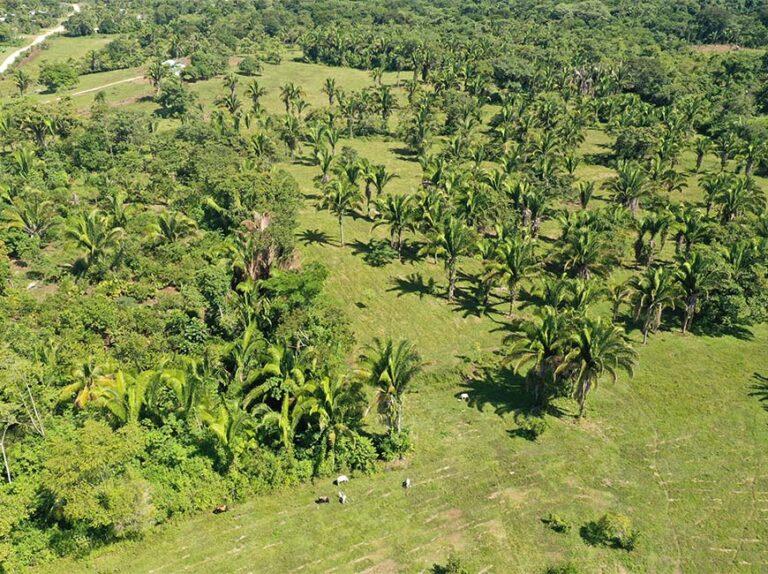 listing image with ID 60877