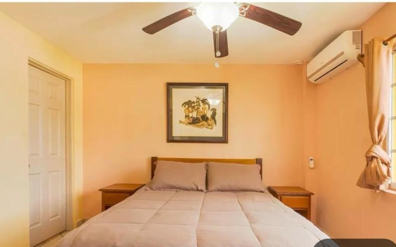 listing image with ID 61036