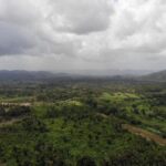 listing image thumbnail with ID 61714