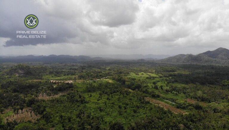 listing image with ID 61714