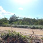 listing image thumbnail with ID 62021