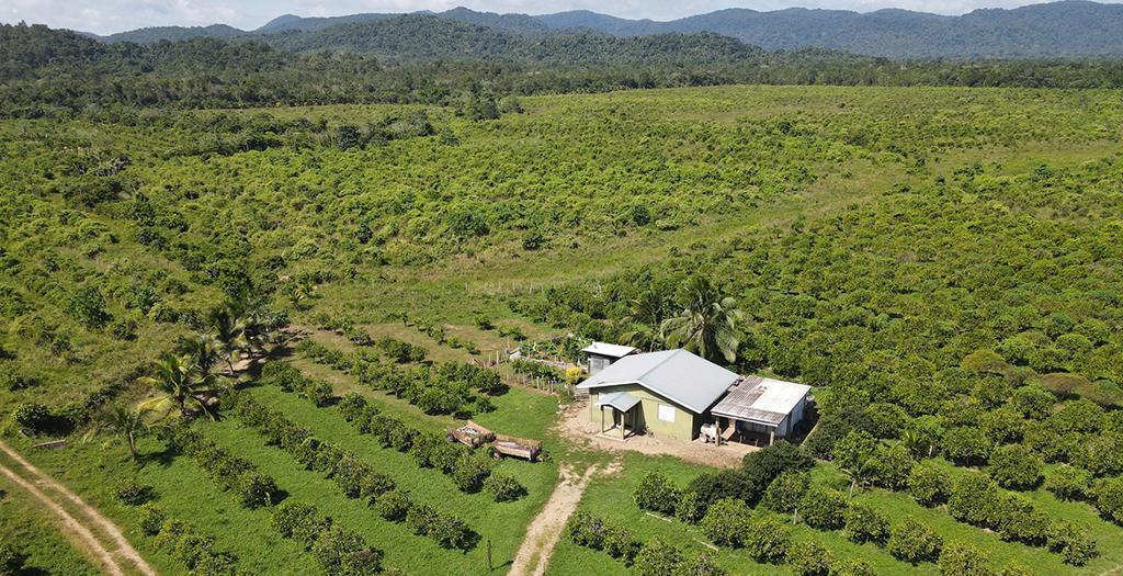 listing image with ID 60569