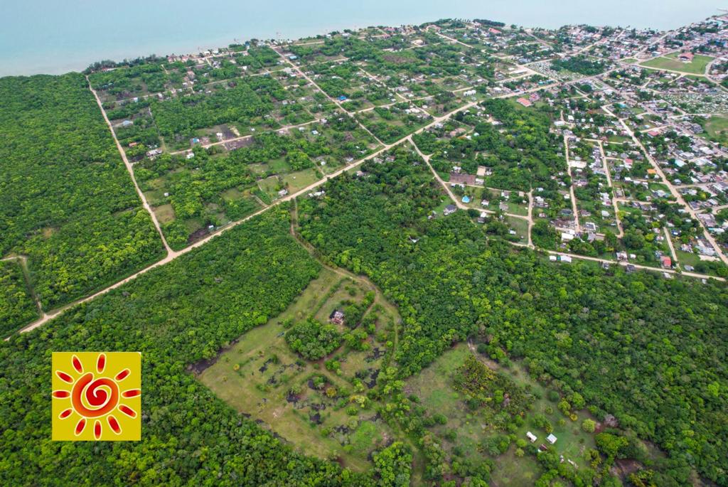 listing image with ID 61887