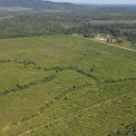 listing image thumbnail with ID 60577