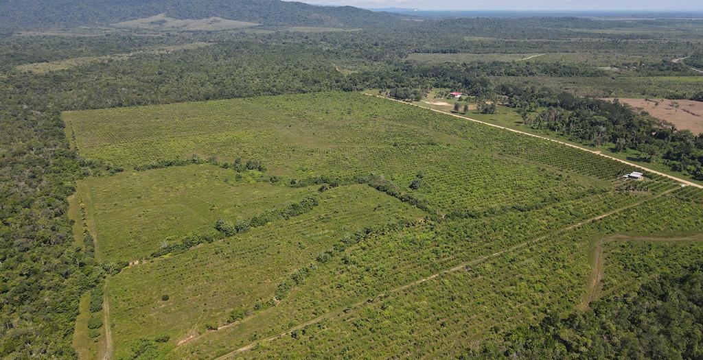 listing image with ID 60577