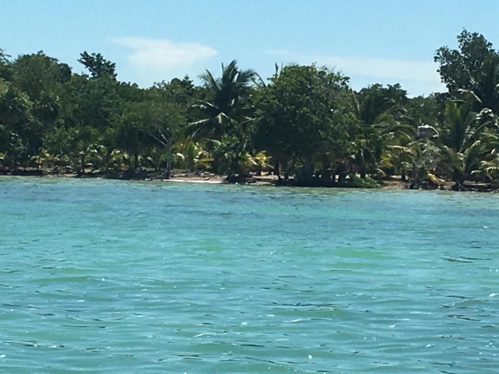 listing image with ID 60963