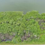 listing image thumbnail with ID 62089