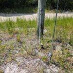 listing image thumbnail with ID 61785