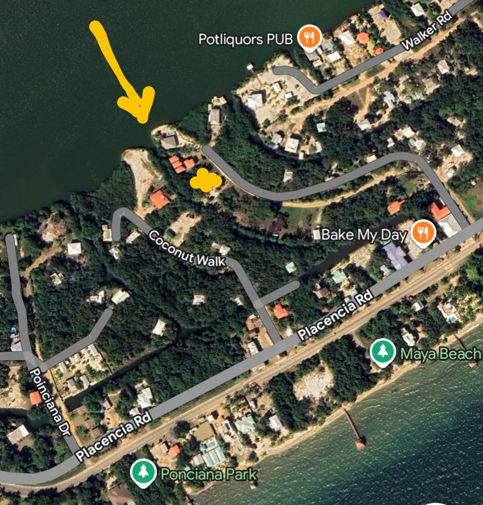 listing image with ID 61781