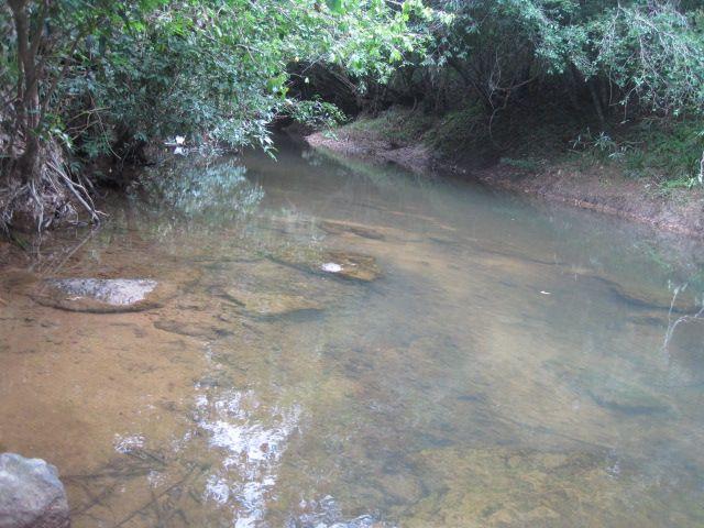 listing image with ID 60740