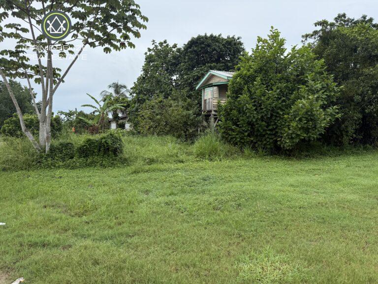 listing image with ID 61405