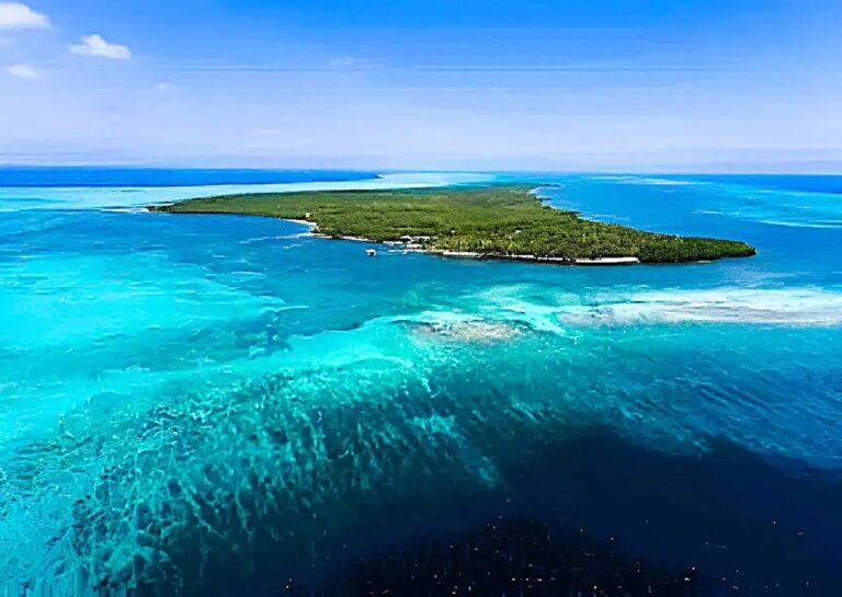 listing image with ID 61877