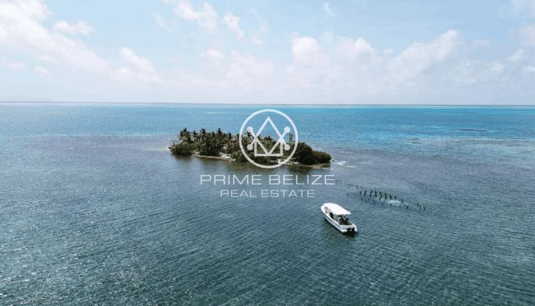 listing image with ID 60904