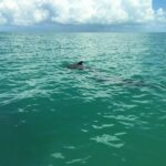 listing image thumbnail with ID 60967