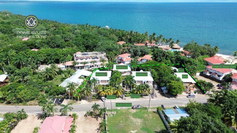 listing image with ID 61254