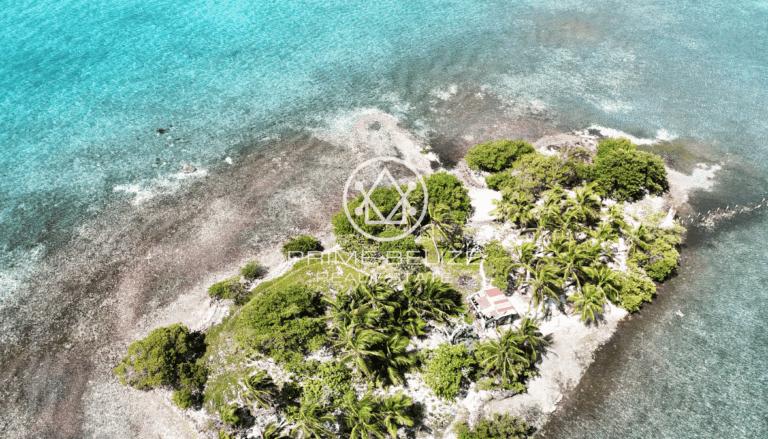 listing image with ID 60900