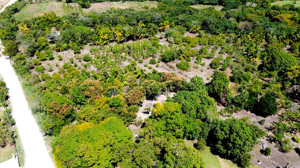 listing image with ID 61503