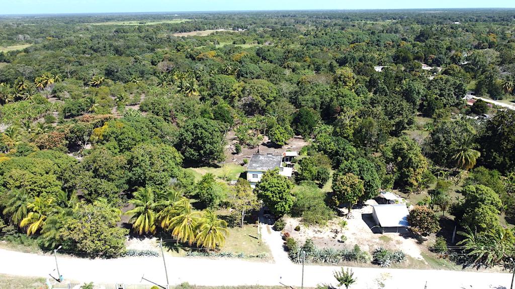 listing image with ID 61506