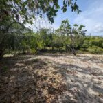 listing image thumbnail with ID 61788