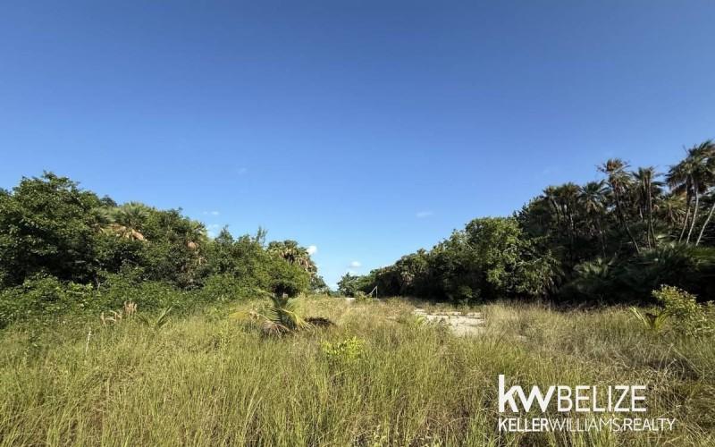 listing image with ID 60592