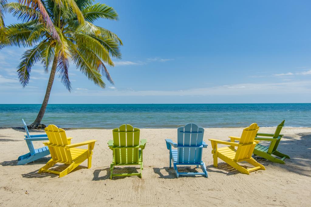 listing image with ID 61599