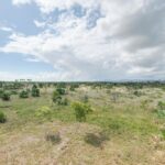 listing image thumbnail with ID 61992