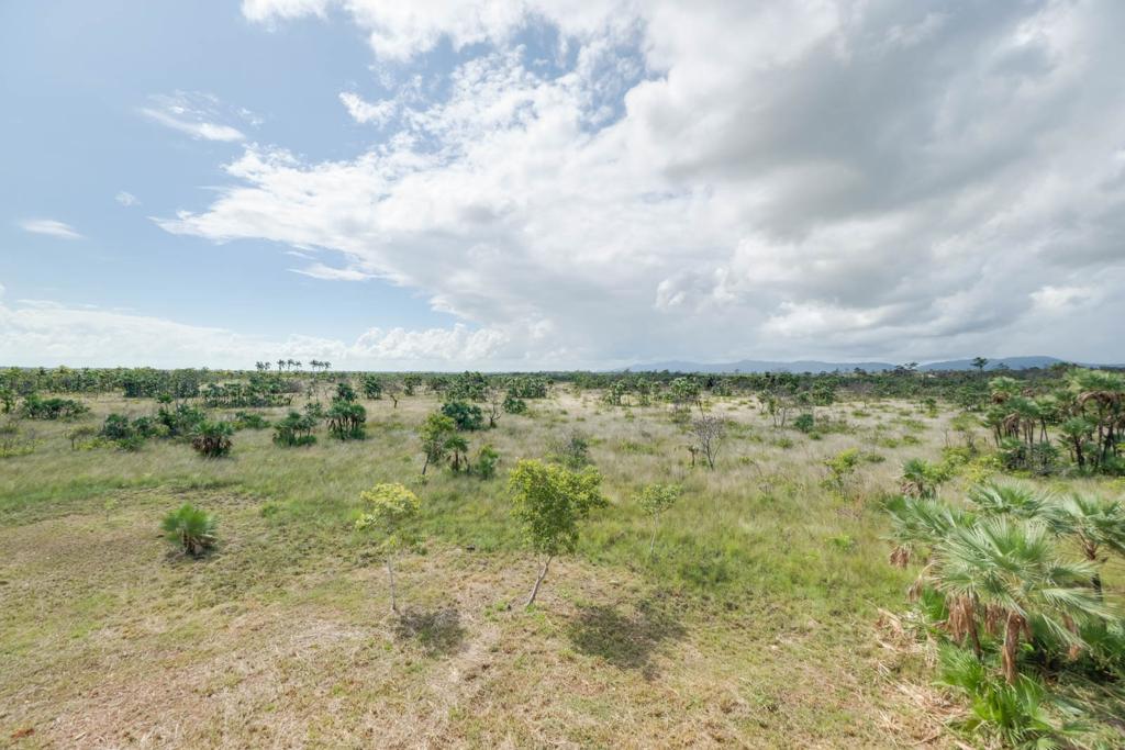 listing image with ID 61992