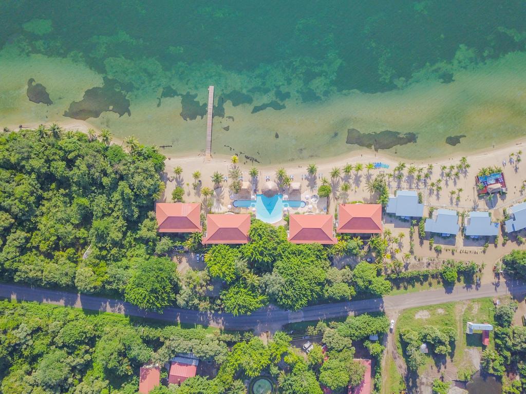 listing image with ID 61850