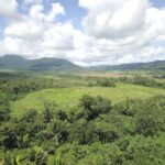 listing image thumbnail with ID 60633