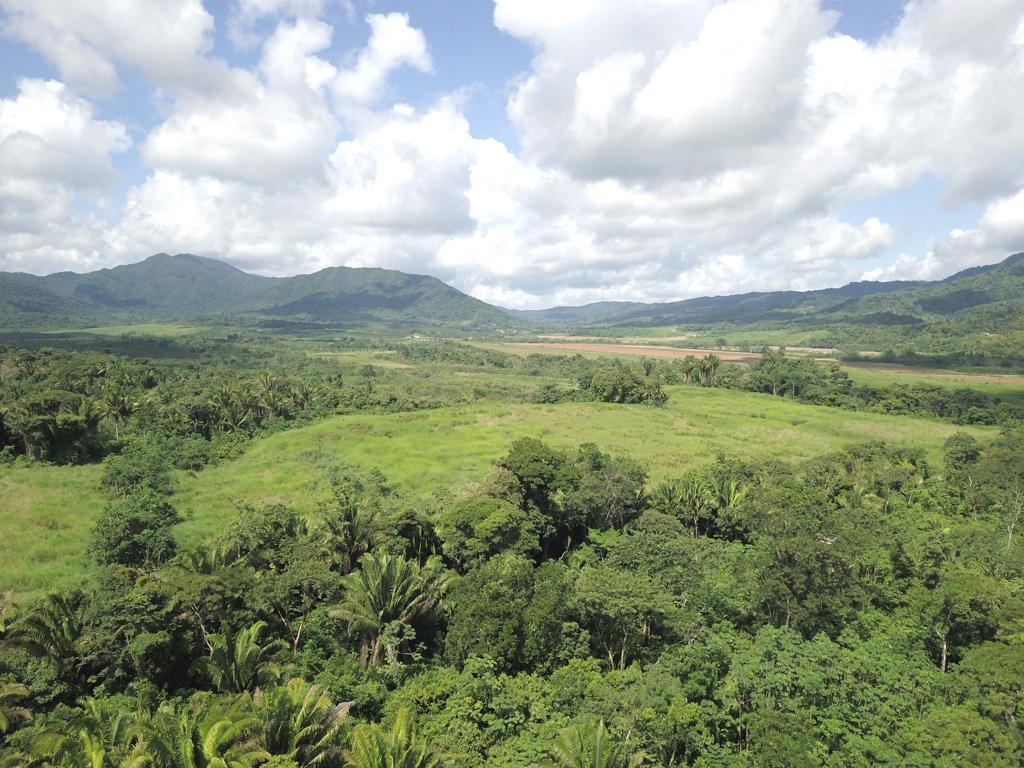 listing image with ID 60633