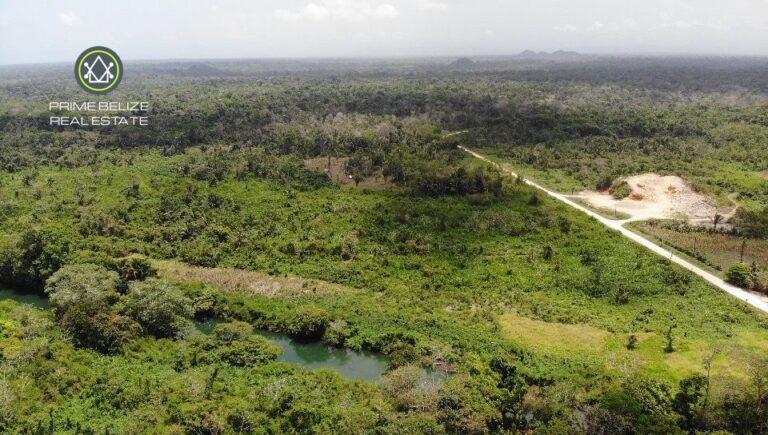 listing image with ID 61710