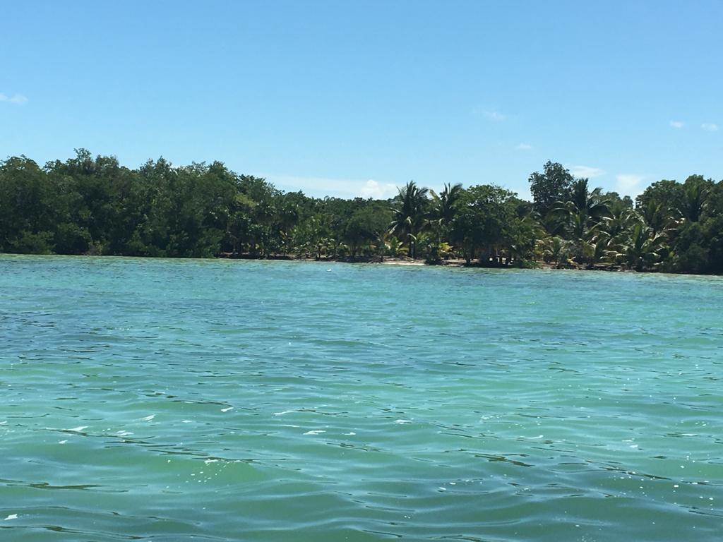 listing image with ID 60968