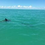 listing image thumbnail with ID 60969