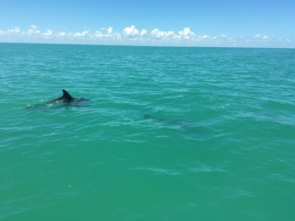 listing image with ID 60969