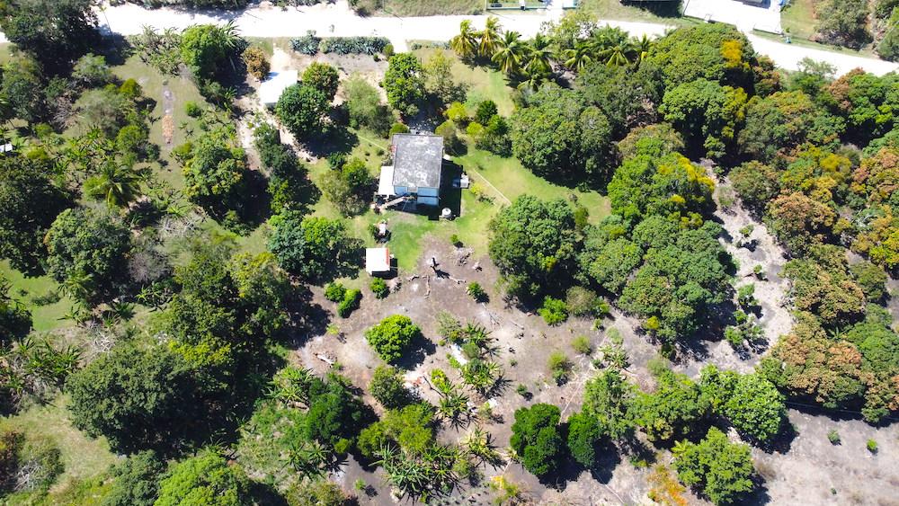 listing image with ID 61502