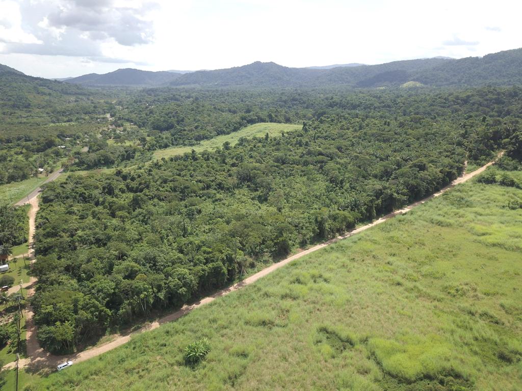 listing image with ID 60632