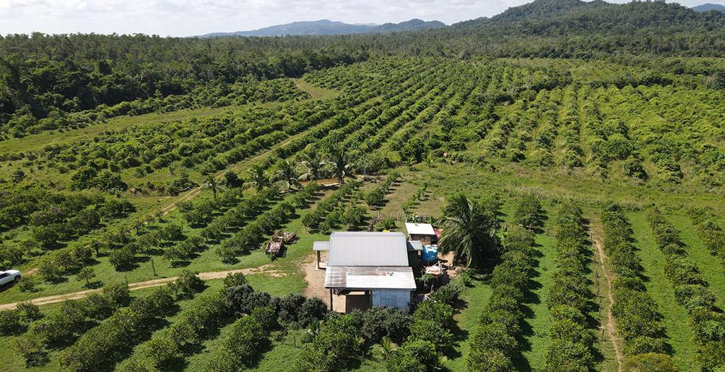 listing image with ID 60570