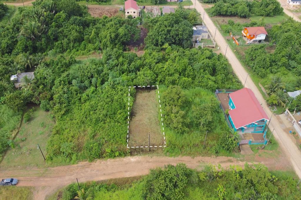 listing image with ID 61795