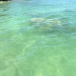 listing image thumbnail with ID 60964