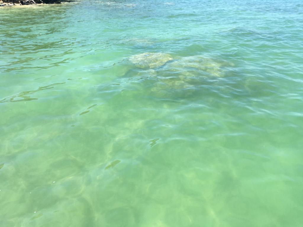 listing image with ID 60964