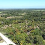 listing image thumbnail with ID 61505