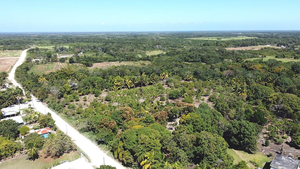 listing image with ID 61505