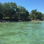 listing image thumbnail with ID 60960