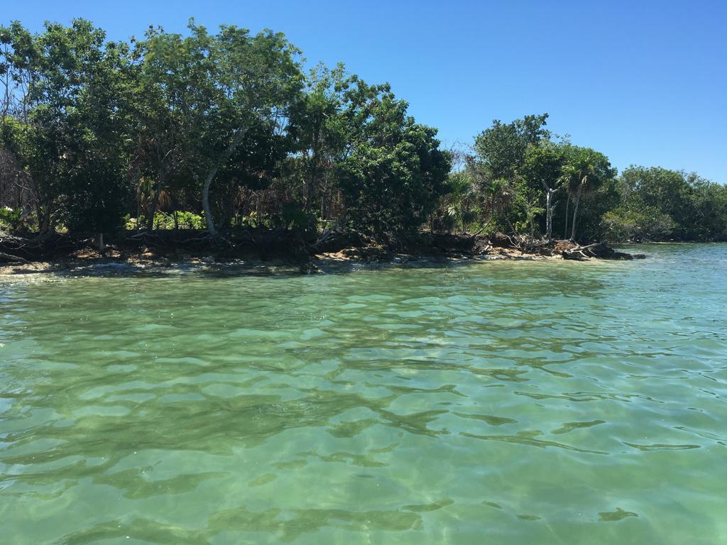 listing image with ID 60960