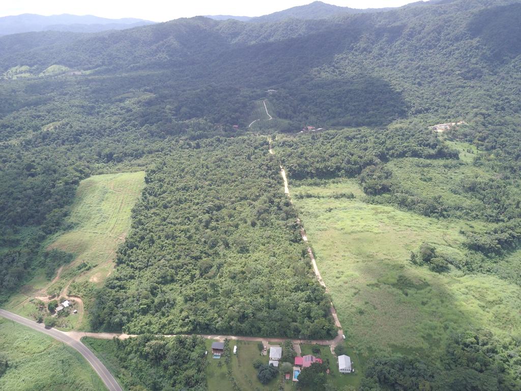 listing image with ID 60636