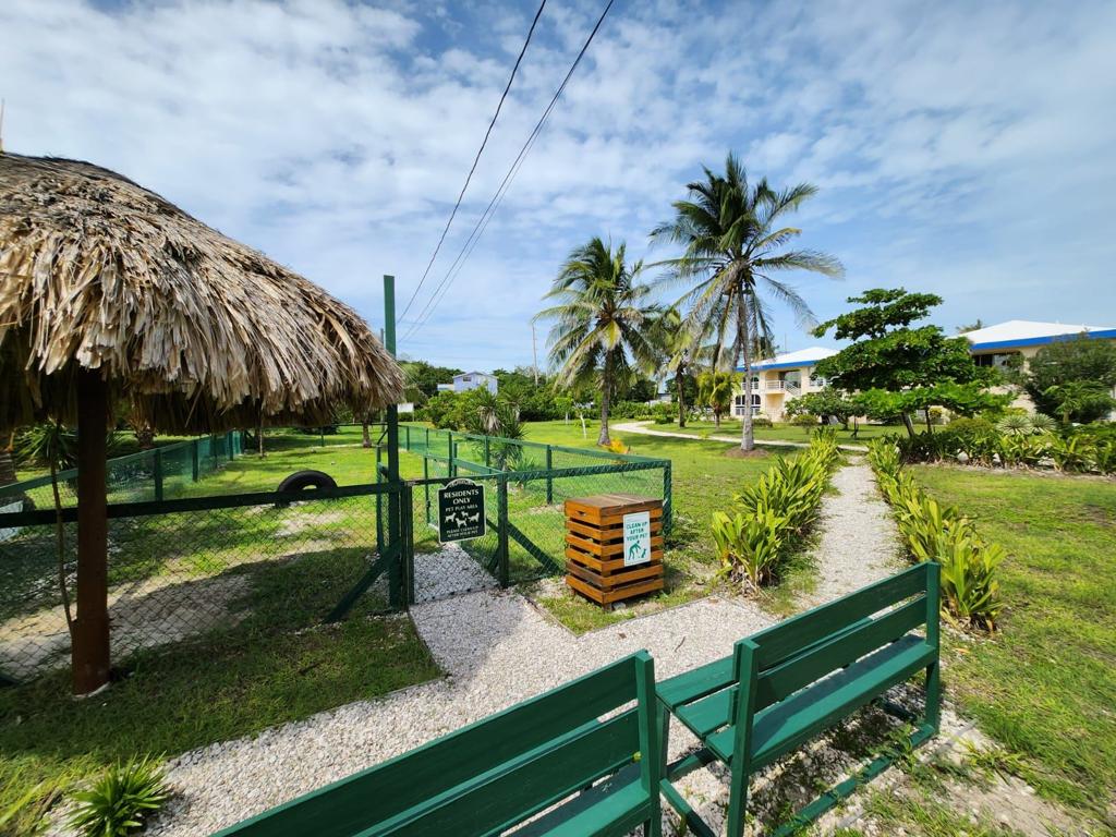 listing image with ID 61670