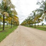 listing image thumbnail with ID 62016