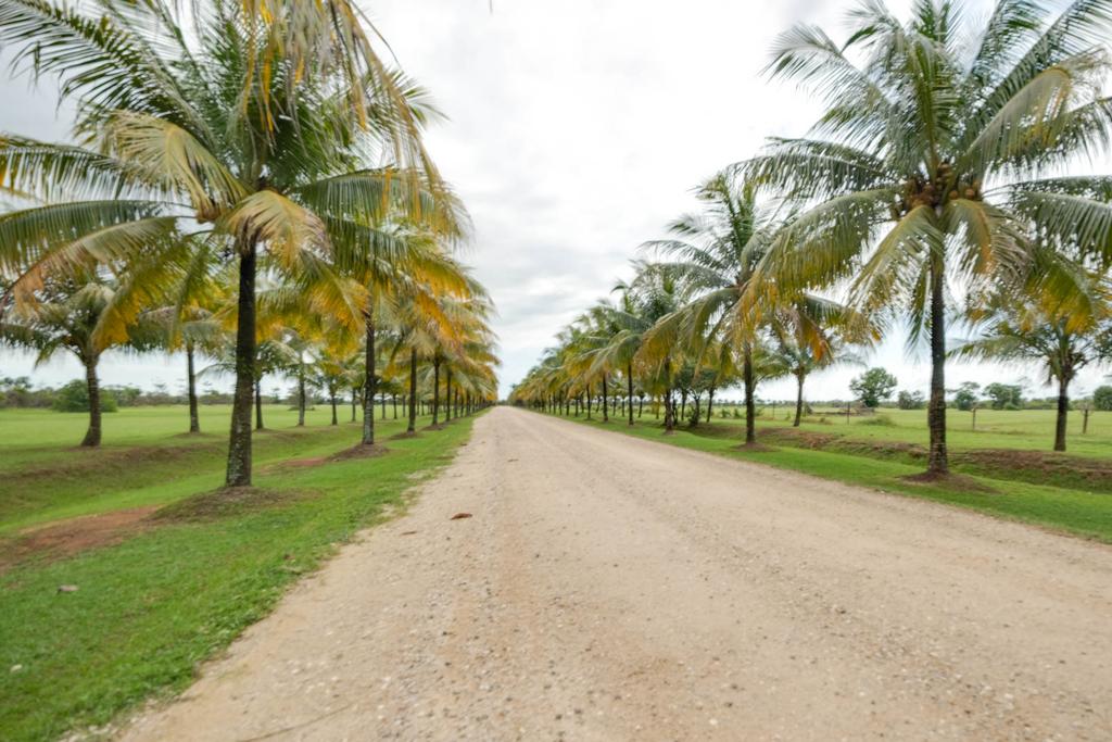 listing image with ID 62016