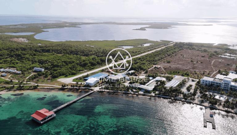 listing image with ID 60981