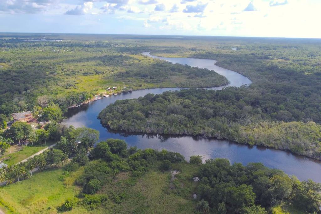 listing image with ID 61303